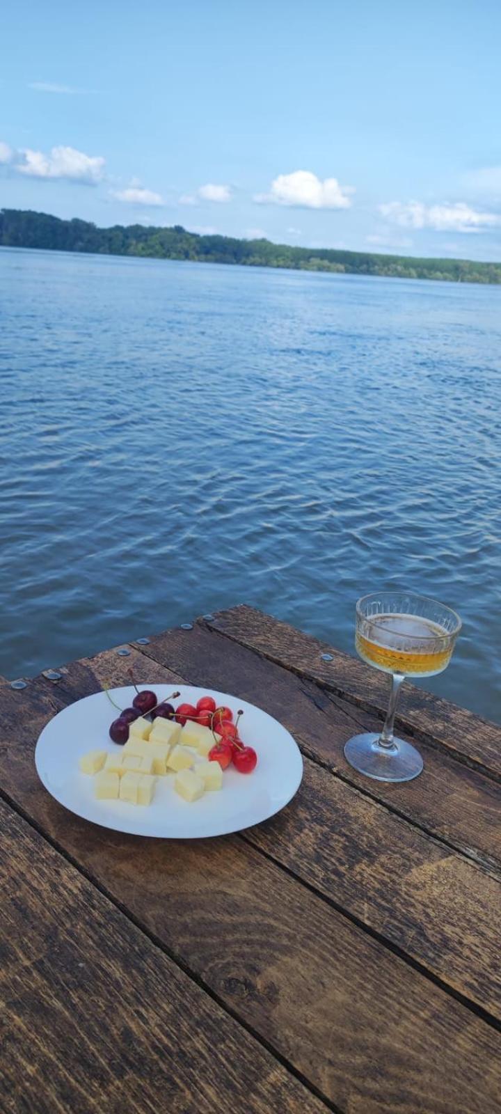 Bora Kuce Na Reci Villa Belgrád Kültér fotó